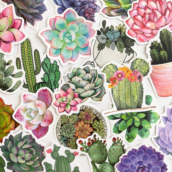 50 Succulent Themed Stickers - Colorful Cactus Stickers - Plant Stickers - Great for Crafts, Water Bottles, and More!  #0004