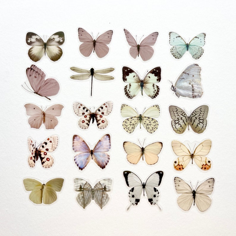 May include: A set of 18 butterfly stickers in various shades of white, gray, and brown. The butterflies are arranged in a grid pattern on a white background.