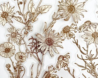 20 LARGE Translucent Brown White Line Art Flower Stickers - Clear Backing LONG Sticker - Great for Crafts, Scrapbooking, Journals! #0224D