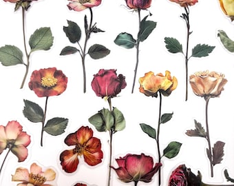 20pcs Vintage Rose Flower Stickers – Long Stem Floral Stickers for Planners, Crafting!  #0162