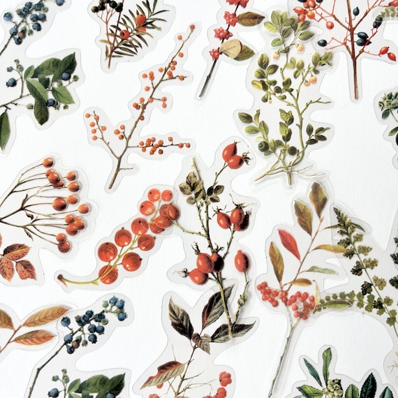 40pcs Plant with Berry Stickers, Fall Orange Botanicals, For Scrapbooking and Journals!  #0208