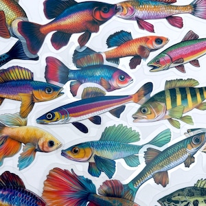 50pcs Colorful Translucent Fish Stickers - Watercolor Design - For Crafts, Laptop, More!  #0010a
