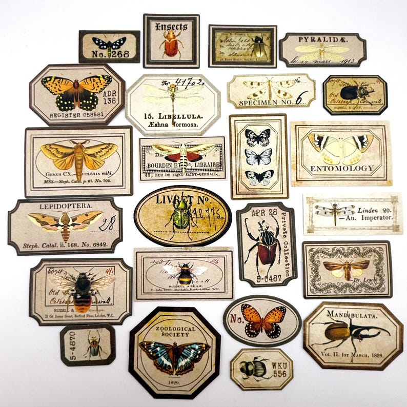 Vintage Insect Label Stickers, Butterfly Beetle Ephemera Stickers, for ...