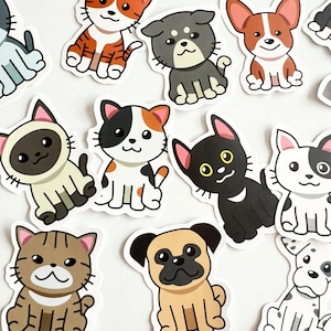 30 Dog and Cat Stickers - Random Cartoon Animal Stickers - FUN for Kids Crafts, Hydro Flask, Phone, Laptop! So CUTE!  #0089