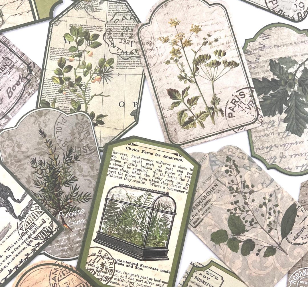 20pcs Vintage Botanical Plant Tag Stickers - LARGE SIZE - for ...