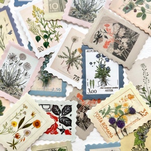 K&ouml;nnte beinhalten: Eine Sammlung von Vintage-Briefmarken mit verschiedenen Blumenmotiven. Die Briefmarken sind auf cremefarbenem Papier mit gewellten R&auml;ndern gedruckt. Einige der Briefmarken zeigen Text in Rum&auml;nisch, darunter "POSTA ROMANA" und "REPUBLICA", sowie Zahlen wie "10 BANI", "20", "75", "3,00" und "35".
