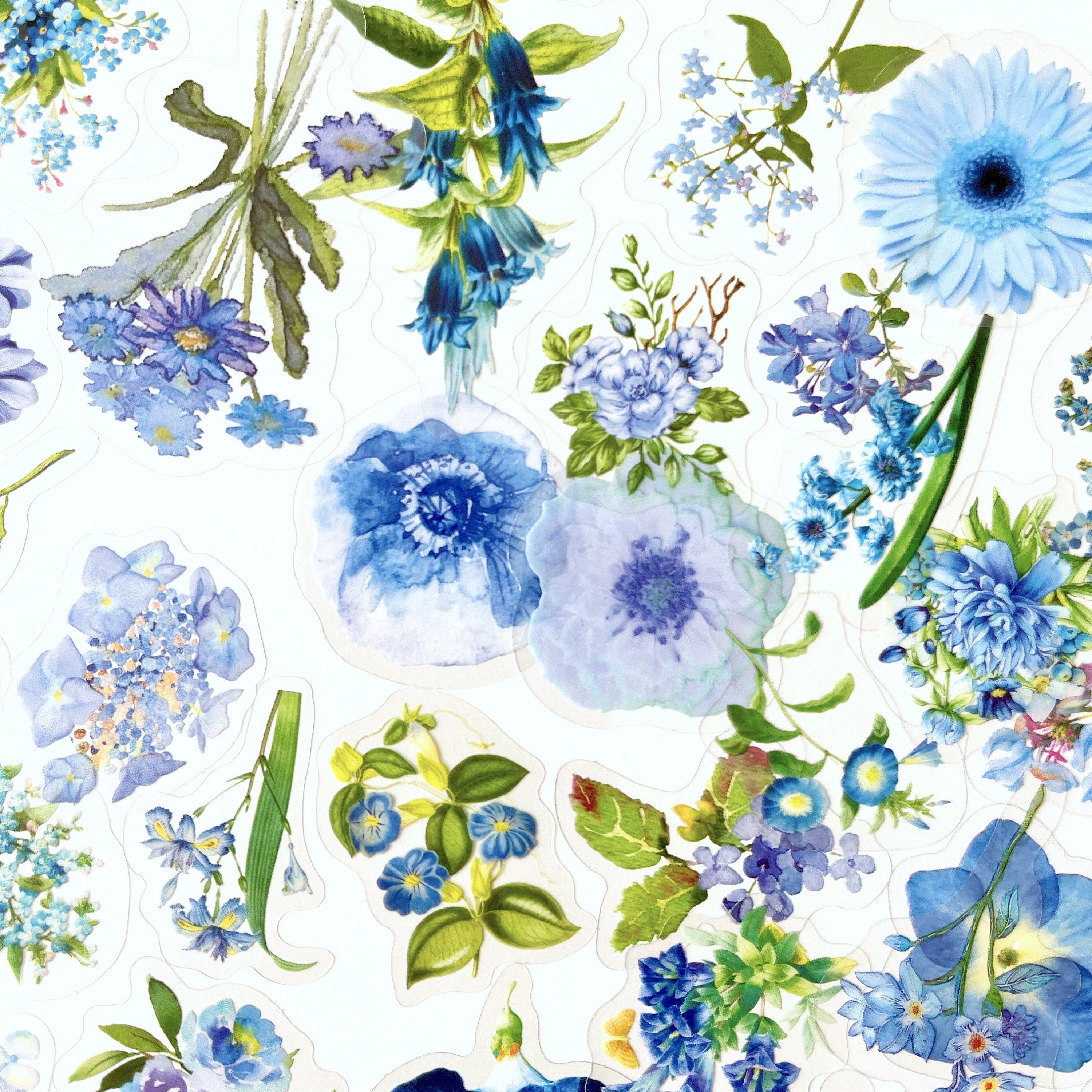 Blue Floral Botanical Stickers - Clear Blue Flower Stickers - GREAT for Crafts, Scrapbooking, Journals, and More Fun!  #0110B