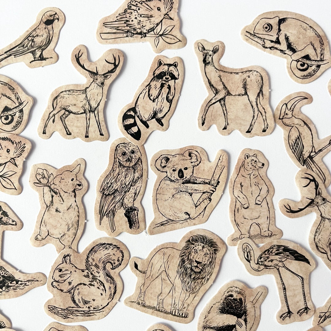 40 MINI Vintage Animal Stickers Vintage Forest Jungle Animals Zoo