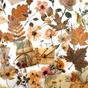 50pcs Vintage Fall Botanical Stickers - Autumn Floral & Leaf Ephemera for Scrapbooking, Journaling, Crafts! #123B