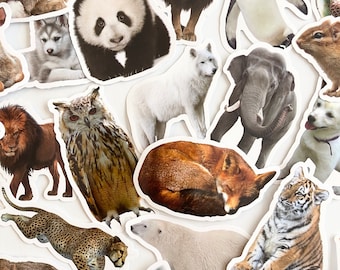 50pcs Real Life Animal Stickers - All Varieties - For Crafts, Scrapbooking, Hydro!  #0175