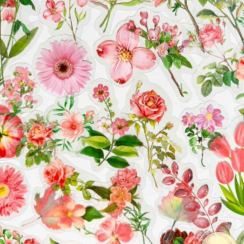 Translucent Pink Floral Flower Botanical Stickers - GREAT for Crafts ...
