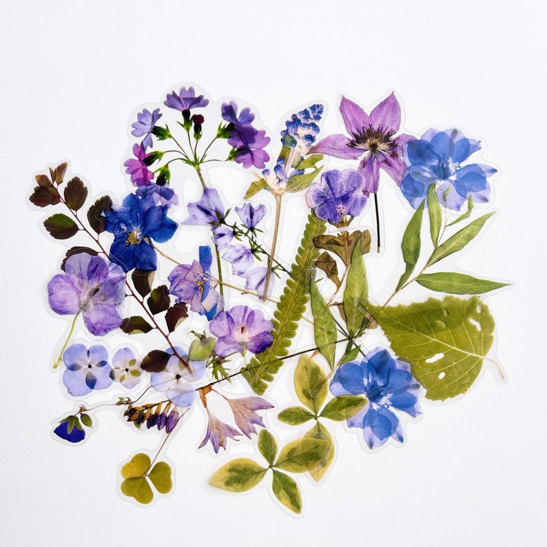 K&ouml;nnte beinhalten: Eine gepresste Blumenarrangement mit einer Vielzahl von violetten und blauen Blumen, darunter Vergissmeinnicht, Stiefm&uuml;tterchen und eine einzelne gro&szlig;e violette Blume mit gelber Mitte.