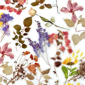 40 Clear Fall Colors Plant Flower Stickers - Beautiful Translucent Autumn Floral Stickers - Great for Scrapbooking, Journals!  #0209