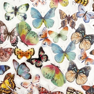 40 Translucent Multi Color Butterfly Stickers - Beautiful Butterfly Rainbow Colors - Great for Crafts, Scrapbooking, Journals!  #0106N