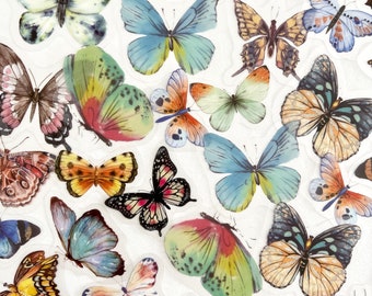 40pcs Translucent Multi Color Butterfly Stickers - Rainbow Colors - For Crafts, Scrapbooking, Journals!  #0106N