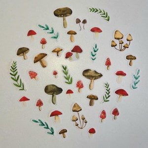 Mushroom stickers pack of 39, watercolor mushrooms stickers, stickers pack, waterproof sticker set,  mushroom stickers set journal cute bujo