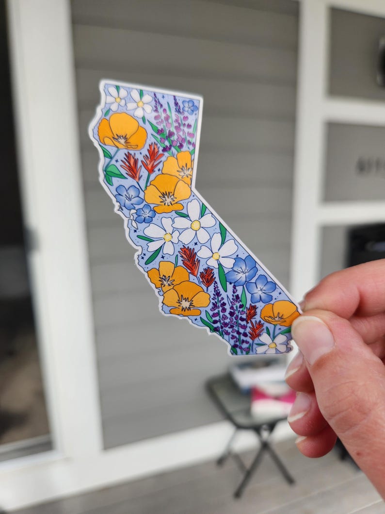 California, California sticker, California wildflowers, California poppy, California poppies, Los Angeles, San Francisco, Sacrament, San Jose, stickers, vinyl stickers, waterproof stickers, stickers for water bottles, California flowers California flower sticker, state stickers, NorCal, NorCal stickers, orange poppy, California orange poppy, sticker shop, etsy art shop, stickers, gift, gifts, gifts for her, gifts for teenager, gifts for girl, sticker gifts