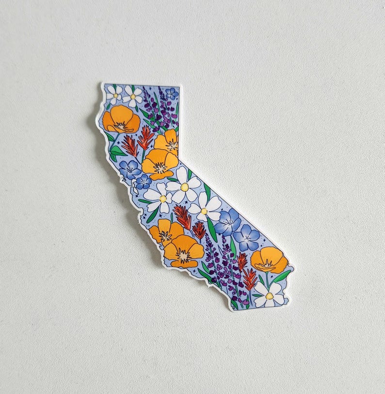 California, California sticker, California wildflowers, California poppy, California poppies, Los Angeles, San Francisco, Sacrament, San Jose, stickers, vinyl stickers, waterproof stickers, stickers for water bottles, California flowers California flower sticker, state stickers, NorCal, NorCal stickers, orange poppy, California orange poppy, sticker shop, etsy art shop, stickers, gift, gifts, gifts for her, gifts for teenager, gifts for girl, sticker gifts