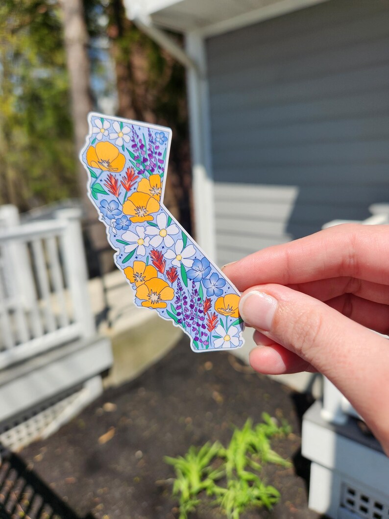 California, California sticker, California wildflowers, California poppy, California poppies, Los Angeles, San Francisco, Sacrament, San Jose, stickers, vinyl stickers, waterproof stickers, stickers for water bottles, California flowers California flower sticker, state stickers, NorCal, NorCal stickers, orange poppy, California orange poppy, sticker shop, etsy art shop, stickers, gift, gifts, gifts for her, gifts for teenager, gifts for girl, sticker gifts