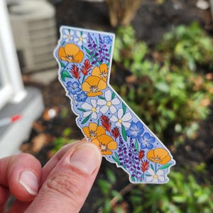 California, California sticker, California wildflowers, California poppy, California poppies, Los Angeles, San Francisco, Sacrament, San Jose, stickers, vinyl stickers, waterproof stickers, stickers for water bottles, California flowers California flower sticker, state stickers, NorCal, NorCal stickers, orange poppy, California orange poppy, sticker shop, etsy art shop, stickers, gift, gifts, gifts for her, gifts for teenager, gifts for girl, sticker gifts