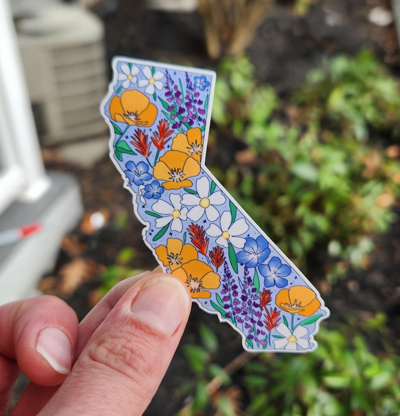 California, California sticker, California wildflowers, California poppy, California poppies, Los Angeles, San Francisco, Sacrament, San Jose, stickers, vinyl stickers, waterproof stickers, stickers for water bottles, California flowers California flower sticker, state stickers, NorCal, NorCal stickers, orange poppy, California orange poppy, sticker shop, etsy art shop, stickers, gift, gifts, gifts for her, gifts for teenager, gifts for girl, sticker gifts