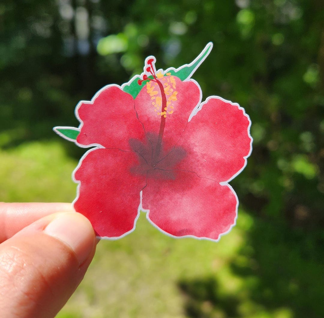 Hibuscus Sticker Watercolor Tropical Hibiscus Sticker, Pink Flower Stickers - Etsy