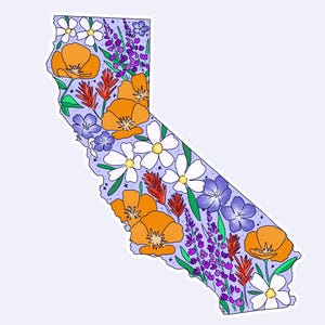 California, California sticker, California wildflowers, California poppy, California poppies, Los Angeles, San Francisco, Sacrament, San Jose, stickers, vinyl stickers, waterproof stickers, stickers for water bottles, California flowers California flower sticker, state stickers, NorCal, NorCal stickers, orange poppy, California orange poppy, sticker shop, etsy art shop, stickers, gift, gifts, gifts for her, gifts for teenager, gifts for girl, sticker gifts