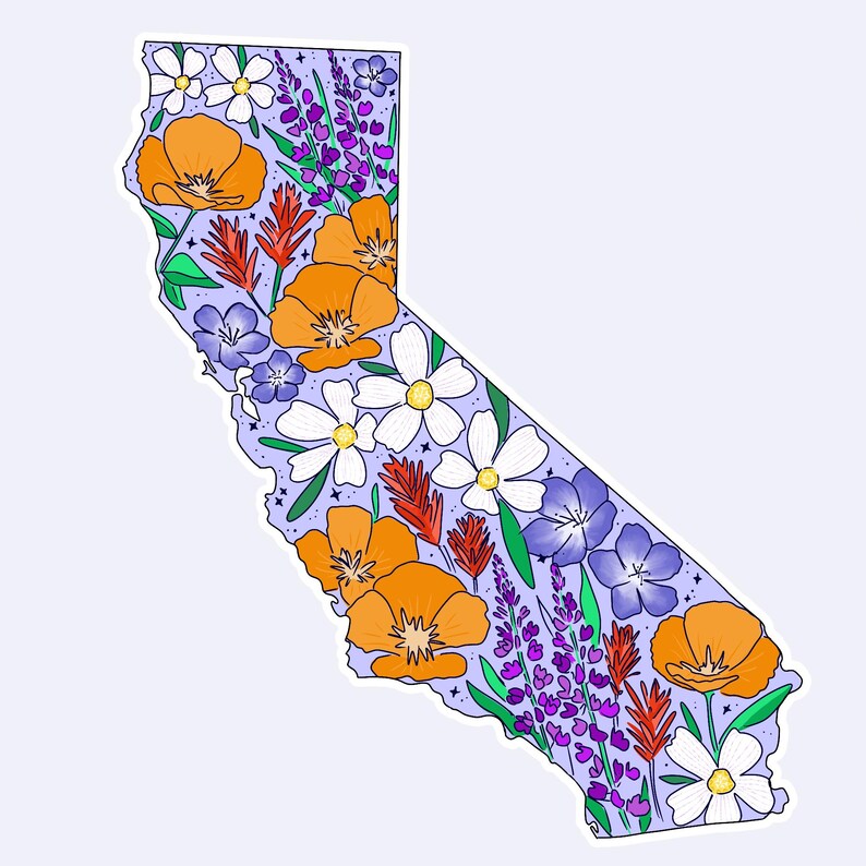 California, California sticker, California wildflowers, California poppy, California poppies, Los Angeles, San Francisco, Sacrament, San Jose, stickers, vinyl stickers, waterproof stickers, stickers for water bottles, California flowers California flower sticker, state stickers, NorCal, NorCal stickers, orange poppy, California orange poppy, sticker shop, etsy art shop, stickers, gift, gifts, gifts for her, gifts for teenager, gifts for girl, sticker gifts