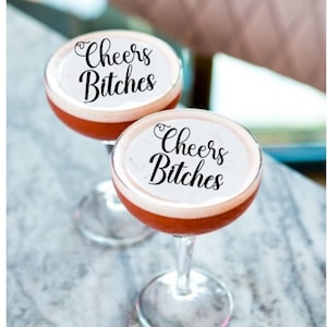 Cheers Bitches Edible Drink Cocktail Toppers Photo Edible Funny Image Beverage Float Baby Showers Weddings Birthdays Bachelorette Parties