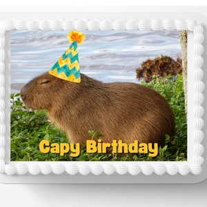 Capybara Animal Image Edible Cake Topper Frosting Sheets Funny Edible Image Icing Frosting Photo Columbian Cute Capybara Meme Capy Birthday