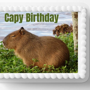 Capybara Animal Image Edible Cake Topper Frosting Sheets Funny Edible Image Icing Frosting Photo Columbian Capybara Meme