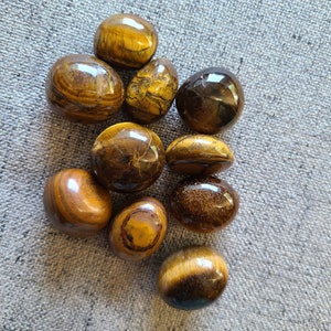 Tigers eye tumble