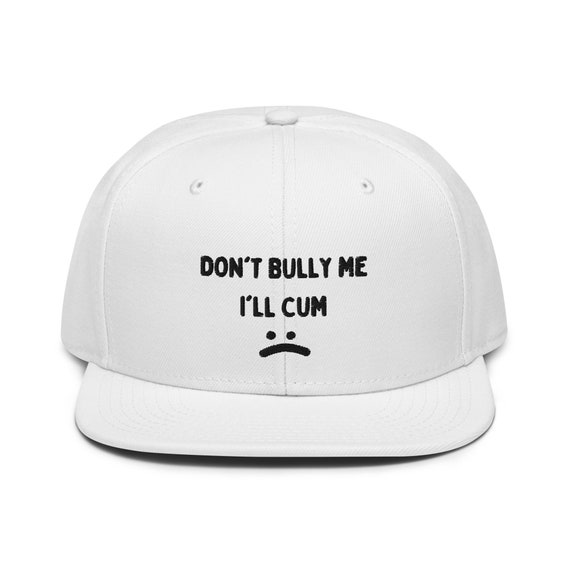 Don't Bully Me Hat, Funny Hat, Meme Hat Snapback Hat -  Canada