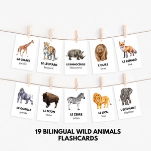 Francusko-angielski dwujęzyczny Dzikie zwierzęta Fiszki, fiszki bilingues, fiszki animaux sauvages francais, fiszki francuskie dla dzieci