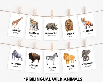 French-English Wild Animals Flashcards (PDF Download)