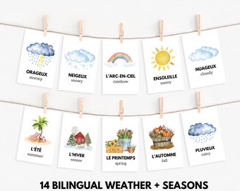 French-English Weather & Seasons Flashcards for Kids (PDF)