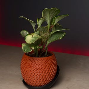 Polygon Planter – 3D Printed Geometric Plant Pot with Drainage Tray | Modern Indoor Succulent Planter | Terracotta Style Home Decor