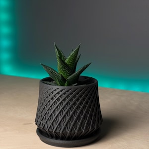 May include: A black geometric planter with a succulent plant inside. The planter has a textured, diamond-shaped pattern.