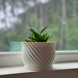 May include: A white, 3D printed planter with a swirling design holds a small green succulent plant. The planter has a matching saucer.