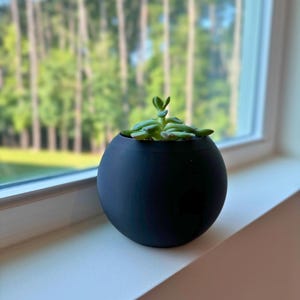 May include: A small succulent plant in a black round pot, sitting on a white windowsill. The plant is in focus, while the background is blurred.