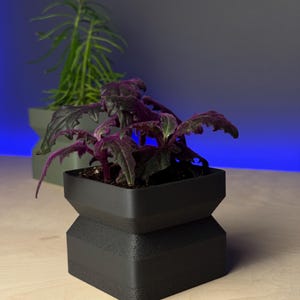 May include: A small, black, geometric planter holds a plant with deep purple, velvety leaves. Another green plant is visible in a gray planter in the background. The planters sit on a light wood surface against a blue and gray backdrop.