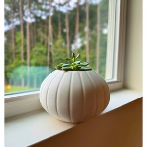 May include: White ceramic planter with a ribbed design, featuring a small green succulent plant. The planter is sitting on a windowsill.