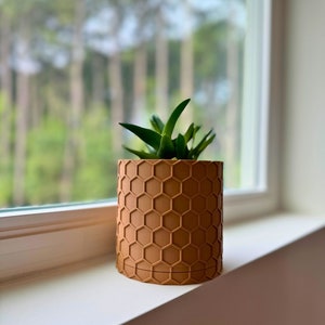 May include: A small succulent plant in a brown hexagonal planter. The planter has a textured surface and is sitting on a white windowsill.