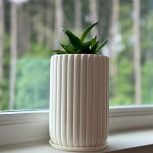 May include: A white ceramic planter with vertical ridges, featuring a small green succulent plant. The planter has a matching white saucer.