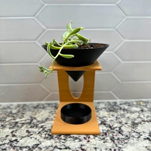 The Pour-Over Planter - 3D Printed Plant Pot for Coffee Lovers