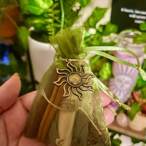 Money Mojo Bag / Attract Luck / Good Fortune / Witch Supplies / Ritual / Witchcraft