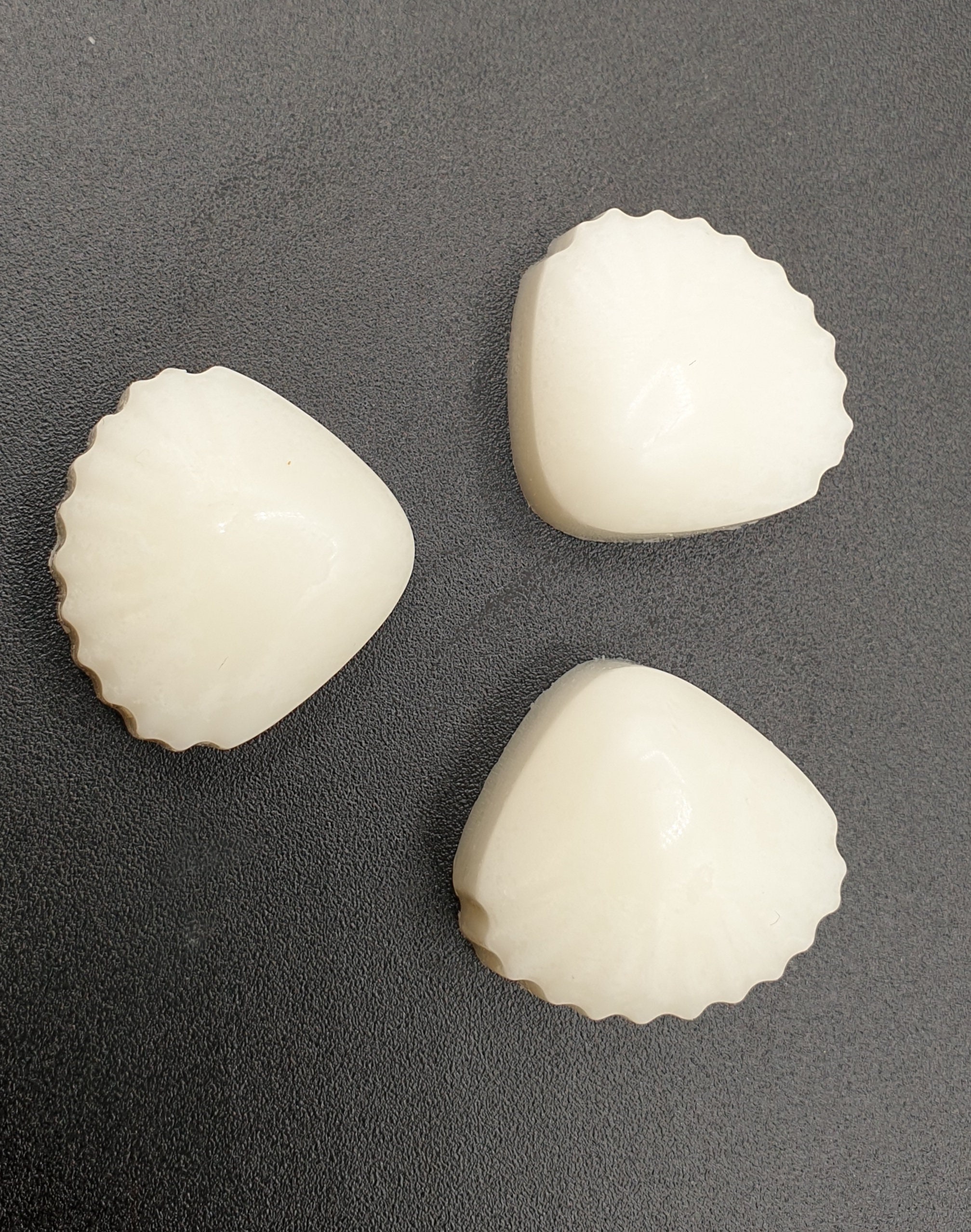 Fondants Gourmands Crème de Vanille