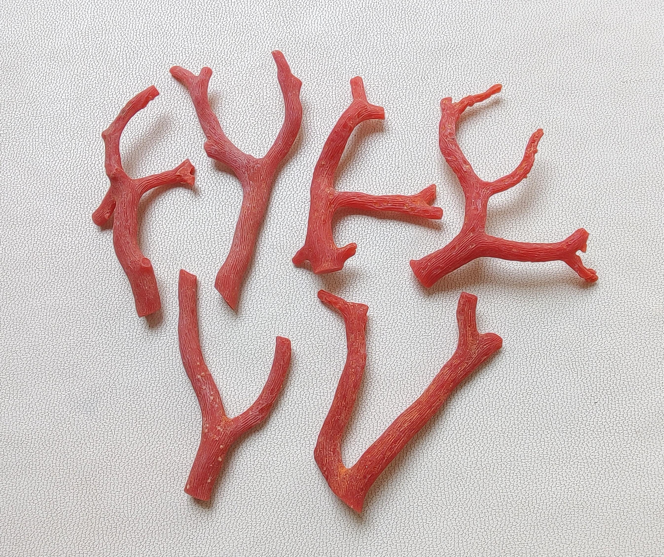 Red Coral Tree, 100% Natural Italian Coral Gemstone Loose Branch Non Polished AA++ Quality Coral Stick Gemstones, Red Coral Stick