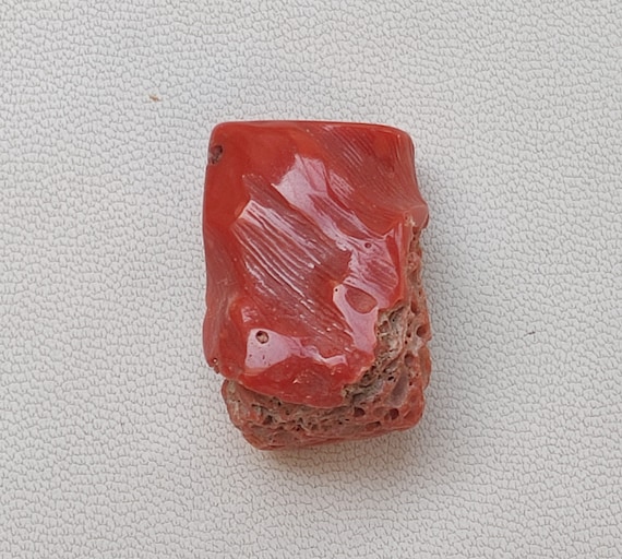 Pierre De Corail Rouge Brut Méditerranéen - 24 Carats, Dimensions 31x19x5 Mm, Naturelle Non Traitée