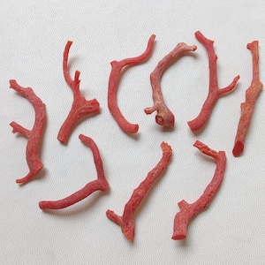 66 Carat 9 Piece Of Italian Coral Branch | Coral Stick | Red Coral | Coral Smooth Red Coral Stick. Non Polished Coral Stick Jewelry Making